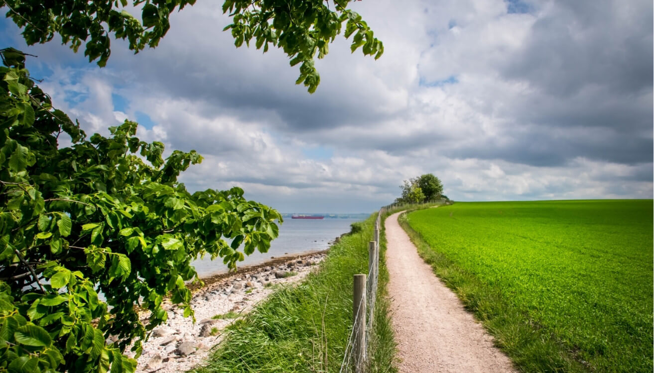 Coastal Walks in Kullabygden – Stunning Trails Await